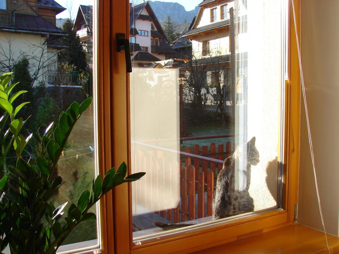Kalina Zakopane Exterior foto